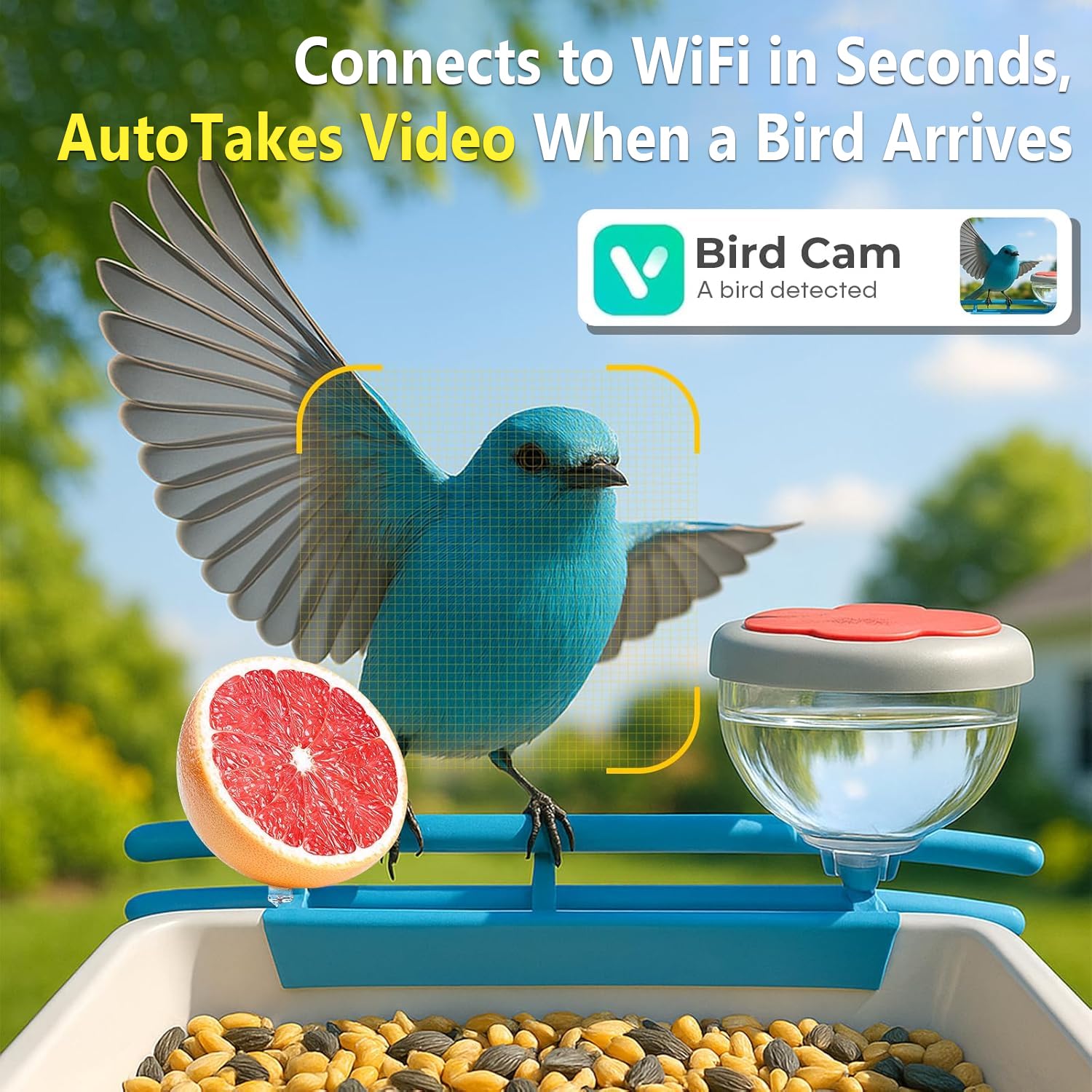 Intelligenter Vogelfutterautom – Motion Sensor Outdoor Bewertung und Preis